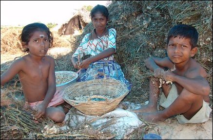 Child labour Children from war affected families forced to work to help