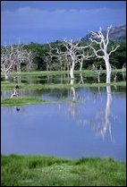 Vilpattu, Lake