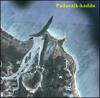 Pudavaik-kaddu