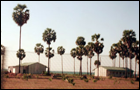 Thiruvadinilaim cantonment