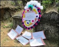 Constitution burning