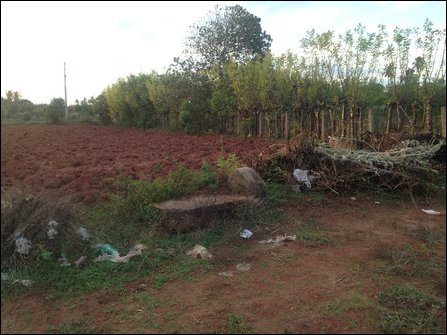 Tomb of slain IPKF military officer in Koappaay