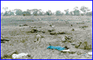 kilinochchi_2.gif