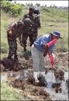 Soil samples from Chemmani