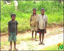 Goat herding boys