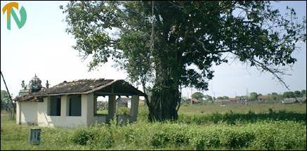 Resettlement in East.