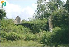 Resettlement in East.