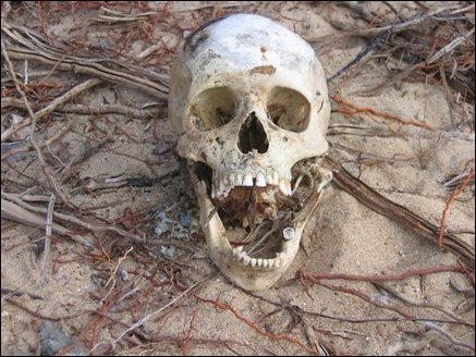 A skull in Navalady, a remnant from tsunami's toll on human life