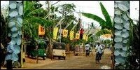 Decorated road to receive Lord Konesar procession.