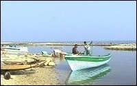Fishing in Jaffna