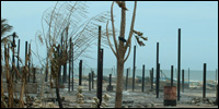 Fishermen's huts in Vankalaipadu burnt down by the Sri Lankan forces [Photo: TamilNet]