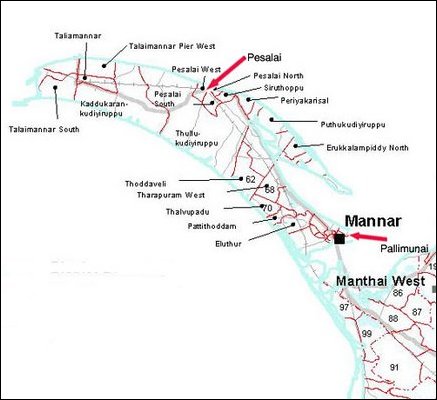 Pesalai, Pallimunai