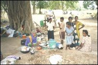 Vaharai