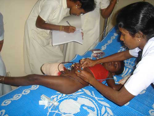 02_01_07_iluppaikadavai_05.jpg