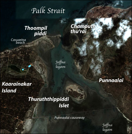 Thoompilpiddi