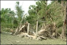 Viveakananthaa Nakar bombing.