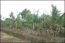 Viveakananthaa Nakar bombing.