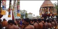 VVT Sivan Koayil Ther festival and devotees