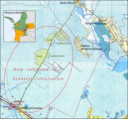 Madu Road, the location of Sinhala settlement in Madu region