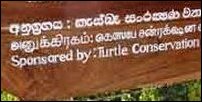 [Photo courtesy: Marine Conservation Society (UK), Website]