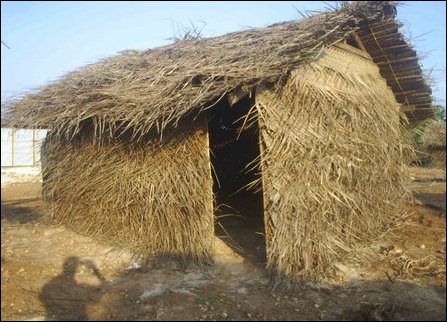 SLA concentration village in Kodikaamam 