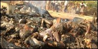 Grizzly photo of Sri Lanka genocide