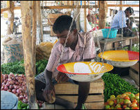 Resettled children work for earning in Vanni