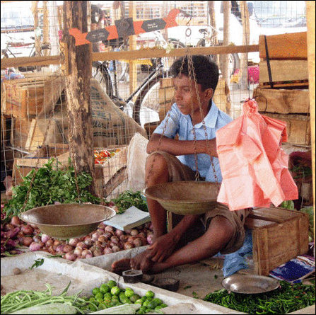 Resettled children work for earning in Vanni
