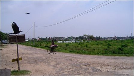 Sinhala families to be settled in Jaffna