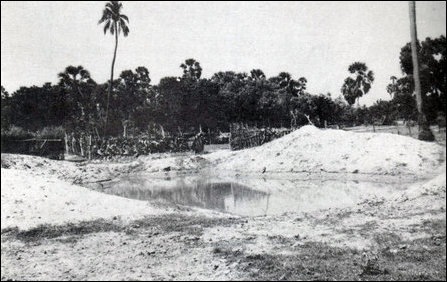 Thuravu, Pachchilaippa'l'li