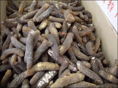 Dried Sea Cucumber, Malaysia