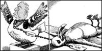 (Adapted from the Economist June 2007)
