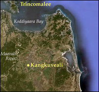 Kangkuveali