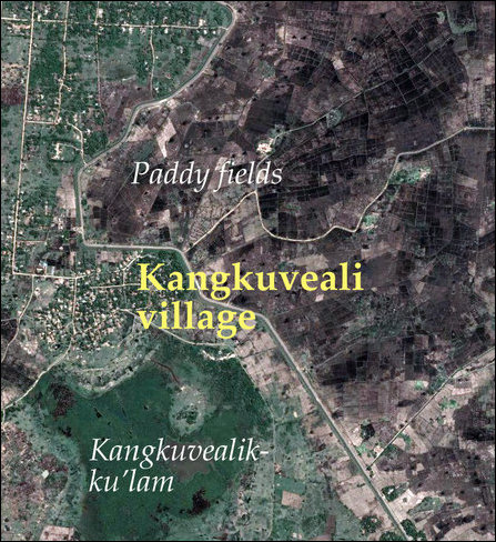 Kangkuveali