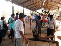 Sinhalese visitors