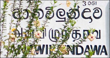 Aanaivizhunthaan