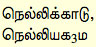 Nellikkaadu