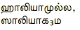 0