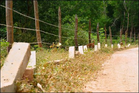 New military fences in Valikaamam North