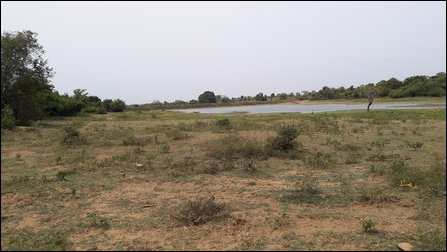 SL Forest Department seizes lands, pond in Unnichchai