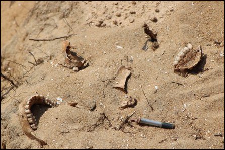Mu'l'livaaykkaal LTTE remains
