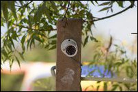 CCTV Cameras at Neeraaviyadi