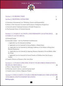 Supplementary report of the National Inquiry into Missing and Murdered Indigenous Women and Girls