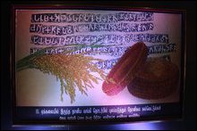 Heritage Zone stall of Enterprise Sri Lanka Exhibition