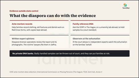 Slide 28: What the diaspora can do with the evidence